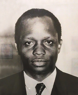 H.E. Wilson K. Tibaijuka - Ambassador